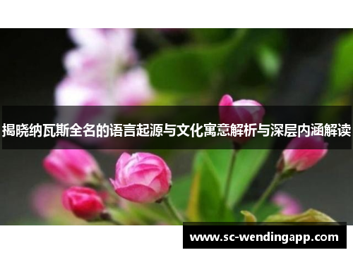 揭晓纳瓦斯全名的语言起源与文化寓意解析与深层内涵解读