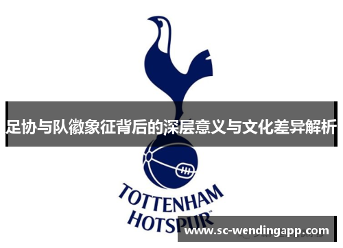 足协与队徽象征背后的深层意义与文化差异解析