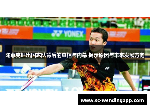 陶菲克退出国家队背后的真相与内幕 揭示原因与未来发展方向