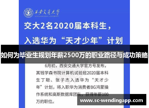 如何为毕业生规划年薪2500万的职业路径与成功策略