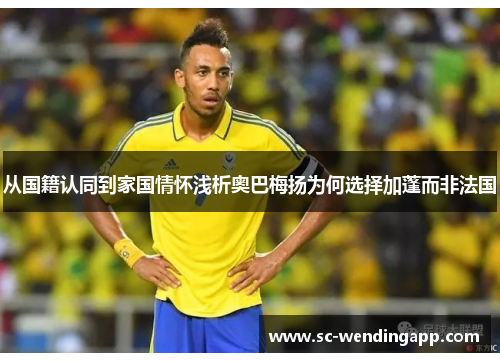 从国籍认同到家国情怀浅析奥巴梅扬为何选择加蓬而非法国
