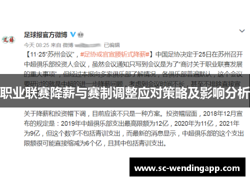 职业联赛降薪与赛制调整应对策略及影响分析