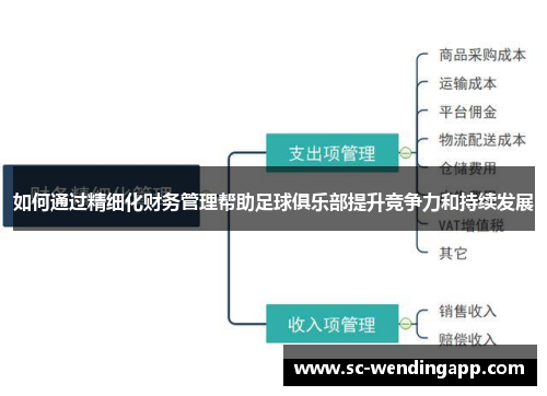如何通过精细化财务管理帮助足球俱乐部提升竞争力和持续发展 如何通过精细化财务管理帮助足球俱乐部提升竞争力和持续发展