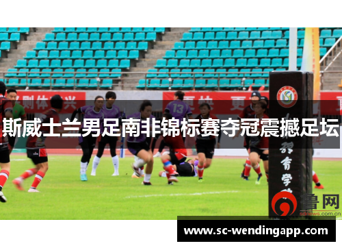 斯威士兰男足南非锦标赛夺冠震撼足坛