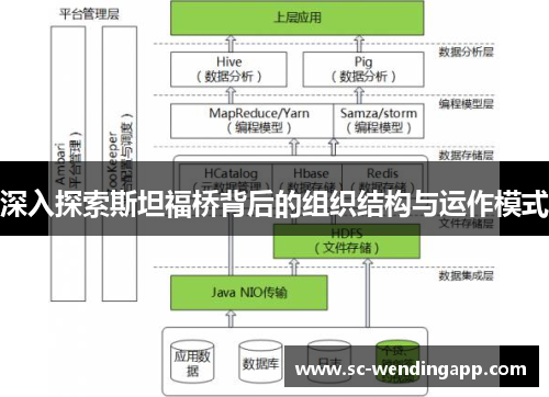 深入探索斯坦福桥背后的组织结构与运作模式