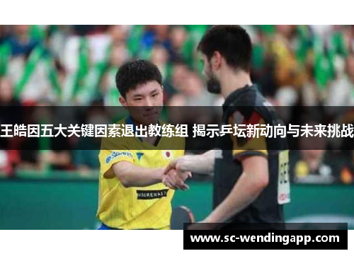 王皓因五大关键因素退出教练组 揭示乒坛新动向与未来挑战
