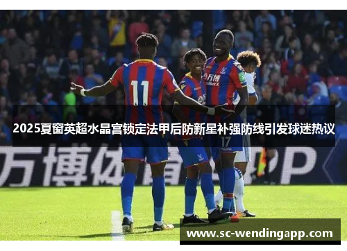 2025夏窗英超水晶宫锁定法甲后防新星补强防线引发球迷热议